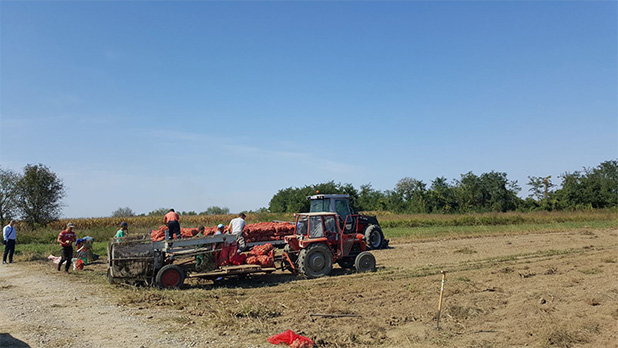Uspješna šesta sezona projekta “unaprjeđenje vakufske imovine u Janji”